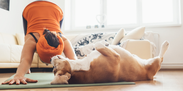 Exercising With Your Pup in 2022