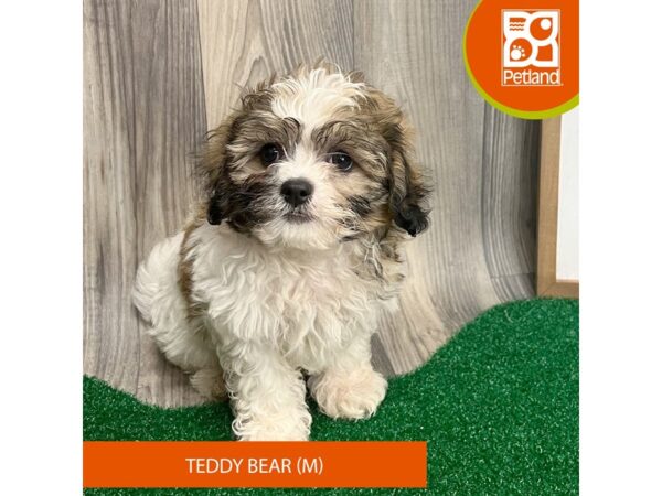 Teddy Bear – 8300