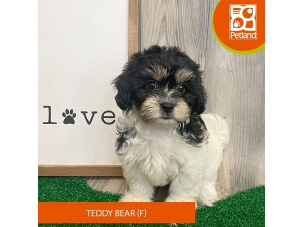 Teddy Bear – 8321