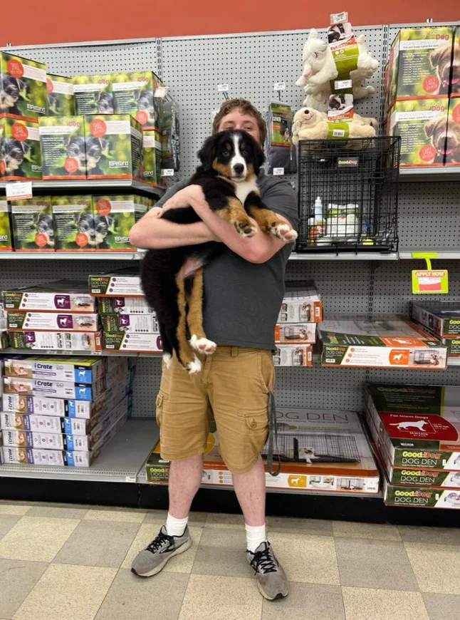 A person holding a tricolor puppy inside Petland Ashland